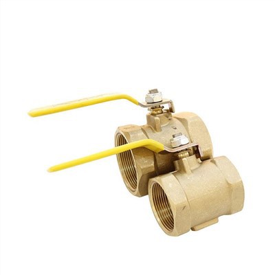 Valv tal-farfett Straight Through 11/2"